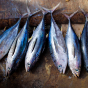 nutri-et-sante-produits-de-qualites-poisson-certifie-aquaculture